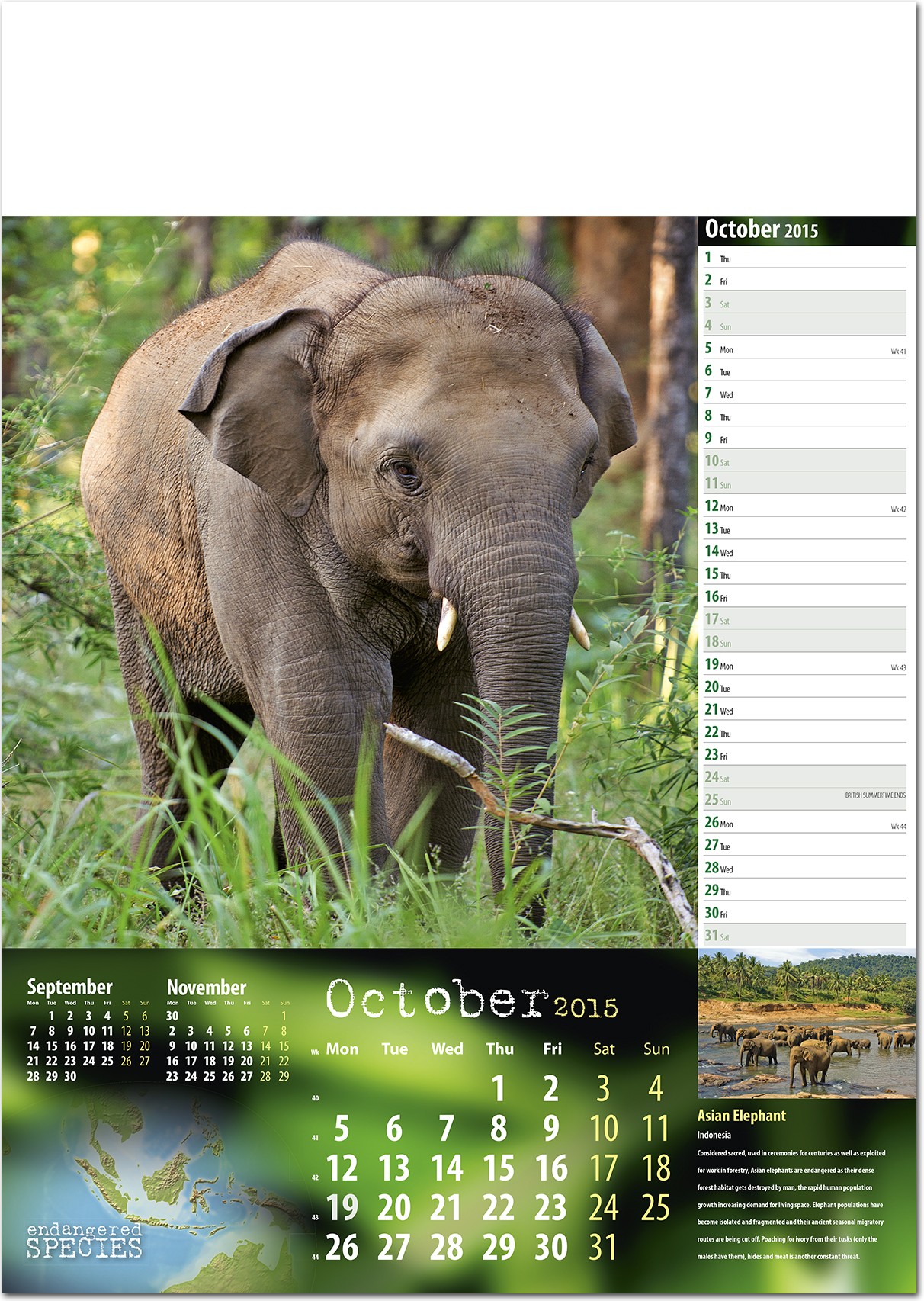 Endangered Species Calendar 2016 - Rose Calendars